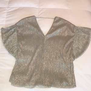 Silver/ Metallic Anthropologie Top